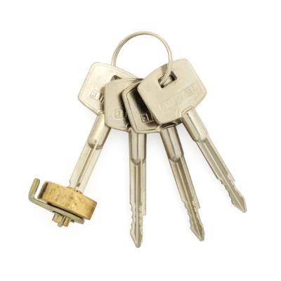 Изображение загружено обработкой по данным файла Excel